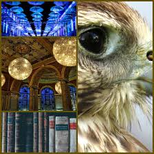 Step 1 ~ pick your aesthetic · step 2 ~ find some images · step 3 ~ open a blank collage · step 4 ~ choose your layout · step 5 ~ make it pop! How To Make Aesthetic Collages And Prettify The Internet Another Teen Reader