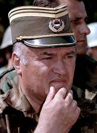 Žalbeno vijeće, uz suprotno mišljenje sudije nijambe, smatra da je neuvjerljiva tvrdnja da je mladić djelovao na. Jutarnji List Sin Ratka Mladica Nije Imao Snage Da Se Pripremi Za Saslusanje Upitno Je Kakva Mu Je Memorija