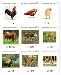 Les Animaux Et Leurs Petits Loup Glace Bebes Animaux De La Ferme Animaux Animaux De La Ferme