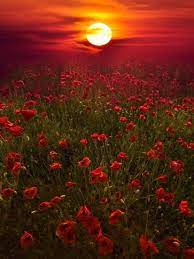 Warm Sunset Photographic Print Marco Carmassi Art Com Nature Photography Landscape Photography Nature