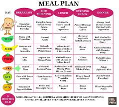 6 Month Old Baby Meal Plan Best Menu Template Design