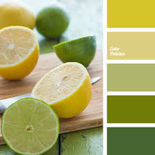 We did not find results for: Color Of Lemon Color Palette Ideas