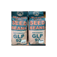 Bean Seeds