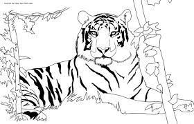 Consider these coloring books and pages to help ease the hospital transition. Pin On Design