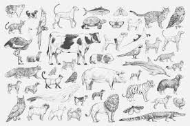 Maybe you would like to learn more about one of these? Animal Drawing Images Free Vectors Stock Photos Psd