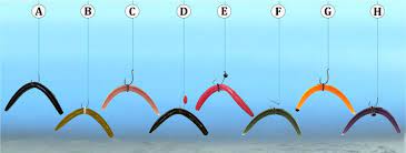 Ery Versatile Set Up And Can Be Fished With Any Type Of Natural And Artificial Bait And Can Be Used In Trout Fishing Tips Smallmouth Bass Fishing Bass Fishing