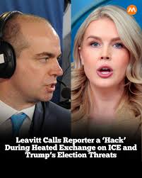 White House Press Secretary Karoline Leavitt lashed out at reporter Niall  Stanage of The Hill when he asked how ICE under Donald Trump's  administration was “doing everything correctly” following the killing of