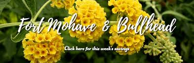 Check spelling or type a new query. Weekly Ad For Each Star Nursery Market