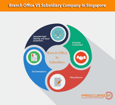 Branch Office Vs Subsidiary Company In Singapore Subsidiary Company Singapore Branch