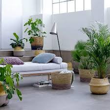 Dekoration mit kletterblumen oder zimmerbäumen wohnzimmer originelle deko pflanzen blumen das wohnzimmer muss nicht unbedingt sehr luxuriös und chic eingerichtet sein, komfortabel und warm sein ist viel wichtiger. Mit Pflanzen Dekorieren Living At Home