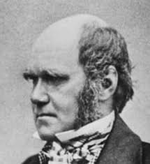 Evolution Still Under Attack After 150 Years