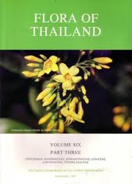 Image result for Ixonanthaceae