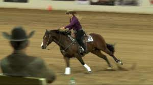 Together they have raised over 0 between their estimated 368 employees. Pabstblueribbon Cactus Reining Classic 2019 Youtube