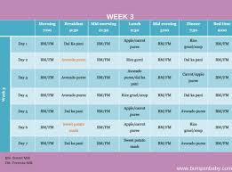 8 Month Baby Food Chart In Tamil Pdf