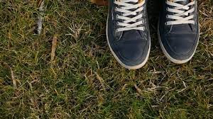 To use them, simple click the wallpaper of choice, then right click. Sneaker Wallpaper Stock Video Footage 4k And Hd Video Clips Shutterstock