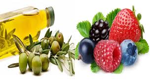 Groupe Zniber Un Investissement D Ampleur Dans L Huile D Olive Et Les Fruits Rouges Hortitecnews