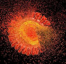 By damaging your immune system, hiv interferes with your body's. Hiv Neues Therapiekonzept Gammora Gegen Aids Erprobt Welt