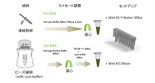 植物からの自動核酸抽出 プロメガ株式会社