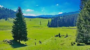 Munții apuseni sunt un lanț muntos din transilvania, parte a carpaților occidentali. Ponor Viziteaza Romania Obiective Turistice Trasee Montane