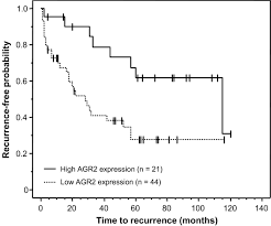 We usually look like our parents because they are the source of our. Differential Expression Of Anterior Gradient Gene Agr2 In Prostate Cancer Bmc Cancer Full Text