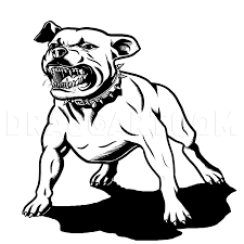 Pin On Pitbull Drawing