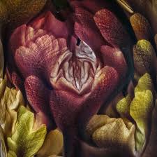 Our curated gallery of images spans a multitude of photography disciplines that include commercial, advertising, fashion, automotive, product, portraits, beauty, landscape and much more. Breathtaking Images From The Landscape Photographer Of The Year Competition Bbc News