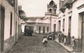 Elsa Wolff ilustraba al Sureste