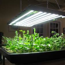 Dec 03, 2020 · best lighting to grow basil inside. Mythbusting Do You Really Need Grow Lights Horticulture