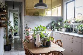 Order online for delivery or click & collect at your nearest bunnings. Urban Jungle Living At Its Best In 1870s Worker S Cottage