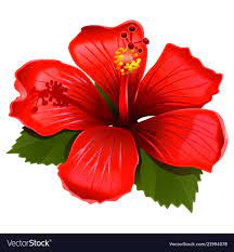 Arrangaments From Tropical Flowers Vectorstock Busqueda De Google Belas Fotos De Flores Coqueiro Png Aquarela Floral