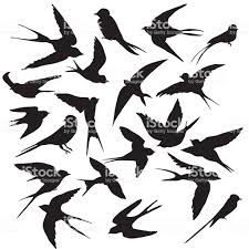 Chinozo「グッバイ宣言」疾走感溢れる歌詞から全人類に捧 ヨルシカ 「だから僕は音楽を辞めた」の本当の理由は？ 歌詞の意… 【呪術廻戦】edソングcö shu nie「give it back」戻りたい場所… æœ€é«˜ã®å£ç´™ æœ€æ–° é³¥ ã‚¤ãƒ©ã‚¹ãƒˆ ã‚·ãƒ«ã‚¨ãƒƒãƒˆ é³¥ ã‚¤ãƒ©ã‚¹ãƒˆ ã‚·ãƒ«ã‚¨ãƒƒãƒˆ é³¥ ã‚·ãƒ«ã‚¨ãƒƒãƒˆ ã‚·ãƒ«ã‚¨ãƒƒãƒˆã‚¢ãƒ¼ãƒˆ