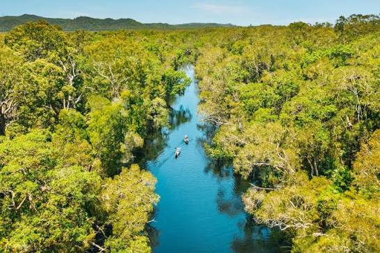 ���⺣����Ŭ����Ϣ��Ecoqld Everglades Safari Ŭ����Ϣ����̬Ұ������԰- Klook