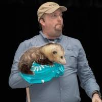 40+ "Brittingham" profiles