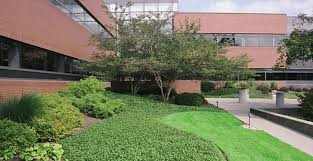 Maybe you would like to learn more about one of these? Landscape Installation Landscaping Syracuse Cicero Jamesville Ny