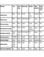 Colony Morphology Chart Organism Color Colony Shape Margin