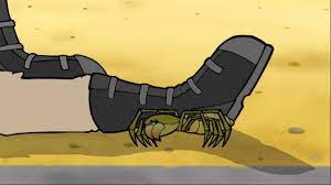How to draw a spider. The Camel Spider Youtube