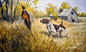 Paintings, photographs, abstracts, prints and more. Hunting Dog And Pheasant Digital Art By Steven Parker