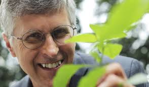 Rise in fake meat demand amid Covid-19 a boon for Temasek-backed Impossible  Foods