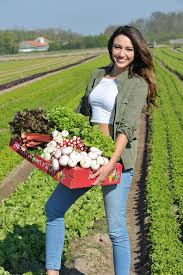 Ifla Page 3 Interprofession Des Fruits Et Legumes D Alsace