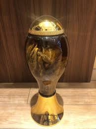 Tới công ty vừa ngồi vào vị trí làm việc đã nghe được một trận. Thien SÆ¡n Tuyáº¿t Lien Tay Táº¡ng Shop Hoa Vo Æ°u