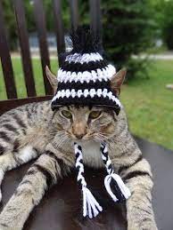 Cat Hat Cat Costume Pets The Zebra Cat S Hat By Iheartneedlework 14 00 Hat For Cat Cat Costumes Pet Costumes Cat
