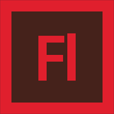 Image result for flash program
