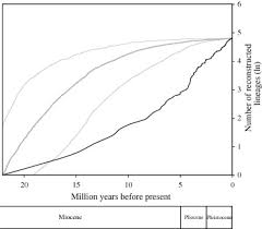 Image result for Impatiens mildbraedii