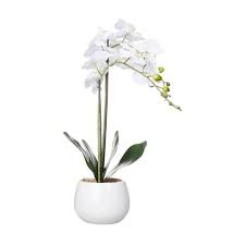 Orchid In Pot Artificial Orchids Orchids Artificial Flowers