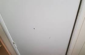 Start by wiping down your front door with a clean dry cloth or soft brush to remove any dirt. How To Fix Scratches On Wood Door And 6 Quick Alternatives Survival Freedom