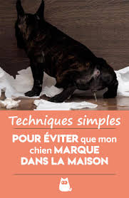 Mon Chien Marque Son Territoire Dans La Maison Comment L Eviter Le Marquage Chien Repulsif Chien Races De Chiens