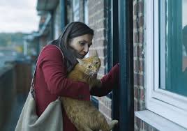 Cats pelicula completa en español latino online 2019. Review Cat In The Wall Cineuropa