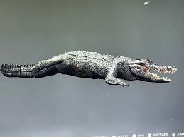 How do you guys fix the Xbox going into slow motion?