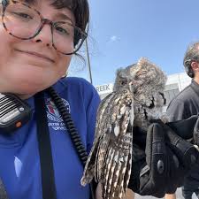 UPDATE: Pineapple has been adopted!...