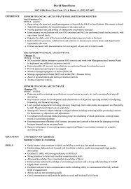 This resume was written by our experienced resume writers specifically for this senior accountant work experience example. Senior Financial Accountant Resume Samples Velvet Jobs